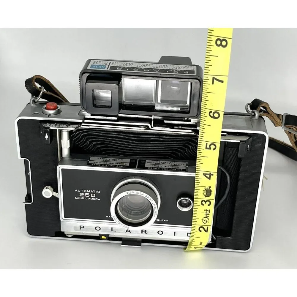 Polaroid this beautiful